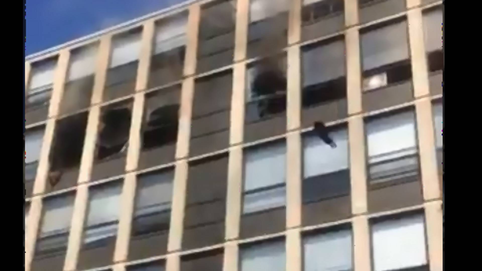 Öt emeletet zuhant a macska a lángoló épületből, majd pattant egyet, és elsétált - videó