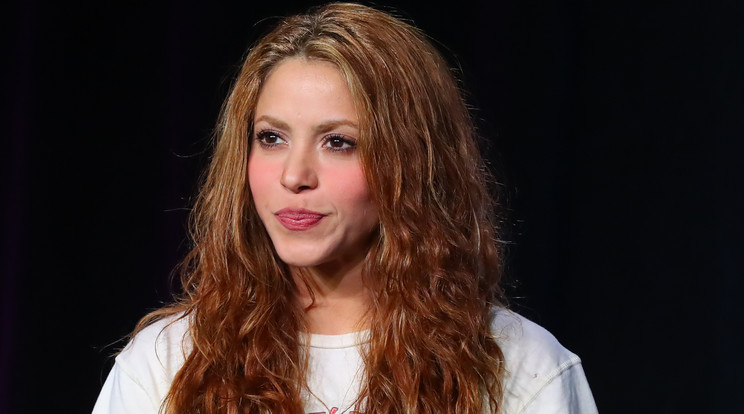 Shakira tagadja a bűnösségét/Fotó: Northfoto