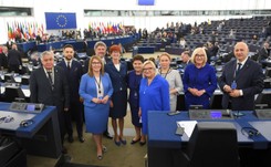 Polscy europosłowie w Parlamencie Europejskim. Zobacz ZDJĘCIA
