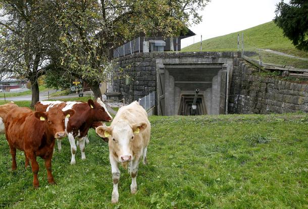 The Wider Image: A new life for Swiss army bunkers