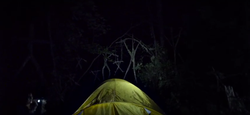 "Blair Witch" w połowie września w kinach. Jest przerażający polski zwiastun