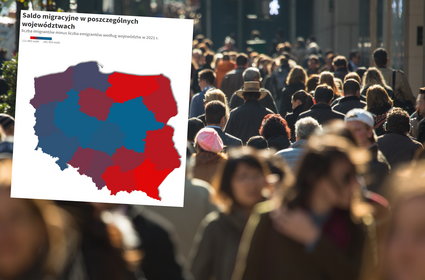 Imigracja wyrównała straty ludnościowe spowodowane emigracją. Dane ze spisu powszechnego