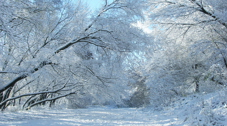 Hideg telünk lesz /Fotó: Northfoto