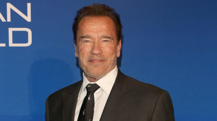 Arnold Schwarzenegger elmondta a véleményét az amerikai tüntetésekről / Fotó: Northfoto