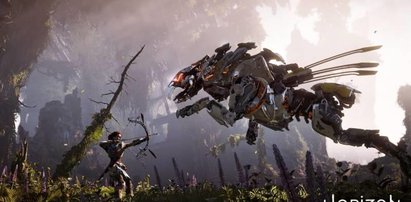 Horizon Zero Dawn już jest!