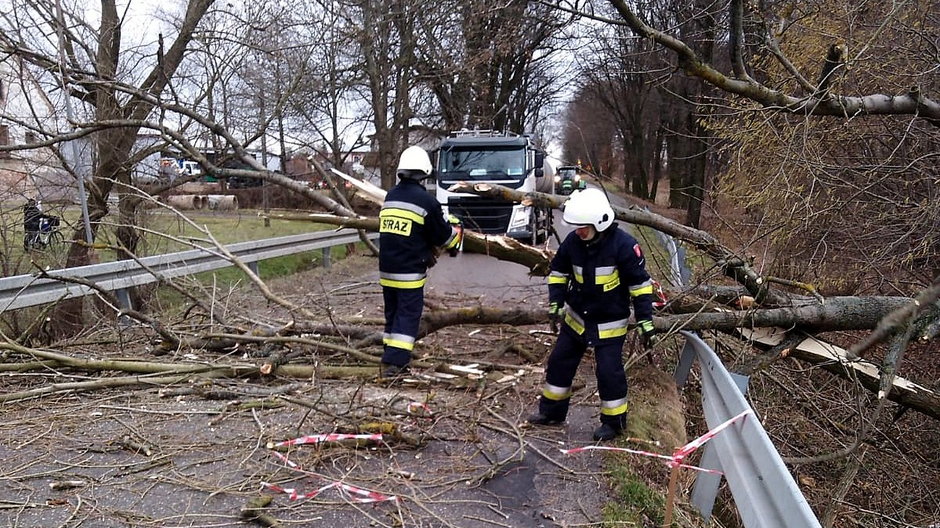 Strażacy odblokowują nieprzejezdną drogę na Podkarpaciu