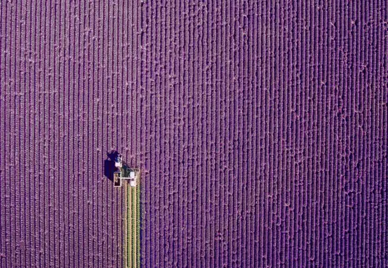 Te zdjęcia robią niesamowite wrażenie. Oto zwycięzcy konkursu fotograficznego dronów 2017