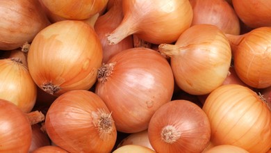 Koniecznie posadź obok cebuli. Te warzywa sprawią, że urośnie zdrowa i dorodna