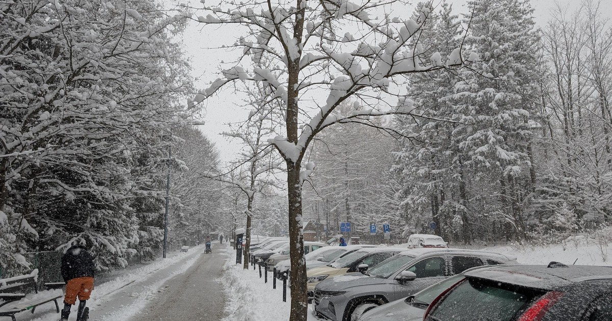 Zima uderza z pełną mocą. IMGW alarmuje! Czekają nas wielogodzinne opady śniegu i mróz