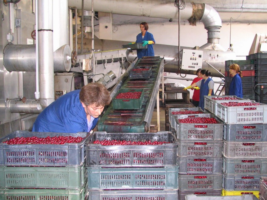 Država želi da ponovo preuzme vlasništvo: Pogon "Nove Srbijanke"