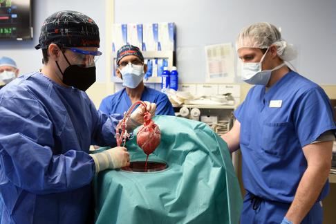 Chirurdzy z University of Maryland pokazują pacjentowi Davidowi Bennettowi serce genetycznie zmodyfikowanej świni, które przeszczepią mu w miejsce chorego narządu, styczeń 2022 r.