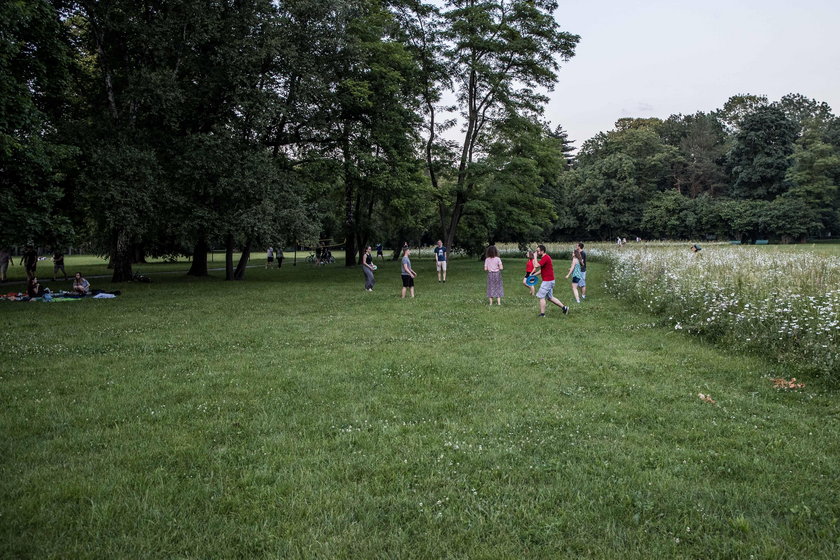 Będzie można grillować w parkach w Krakowie?