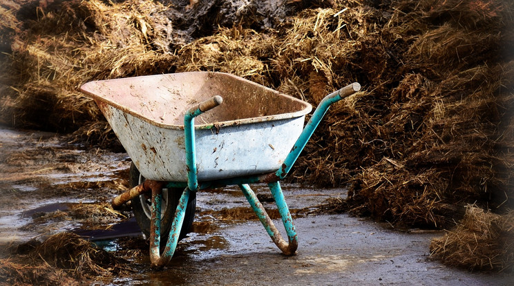Dolgoznak a szakemberek az öcsödi vizeket elérő hígtrágya szennyezés elhárításán / Illusztráció / Fotó: Pixabay