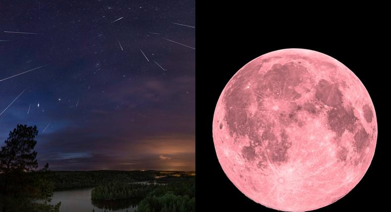 The Lyrid meteor shower will coincide with April's pink supermoon tonight.Mika Wist/500px/dzika_mrowka/Getty Images