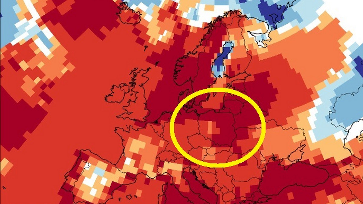 Nadchodzące lato może pobić rekordy temperatur. Nie jesteśmy gotowi