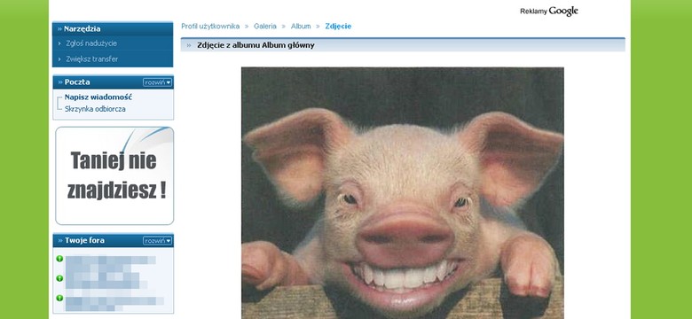 Świńska grypa ma konta na Naszej-klasie