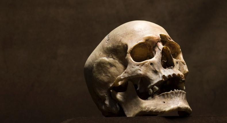 Man finds human skull in front of his house