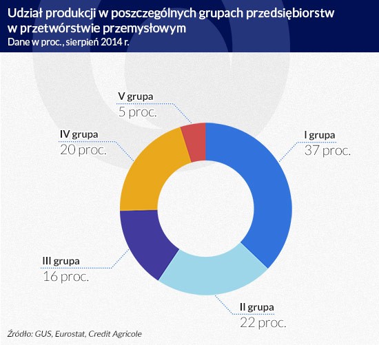 Udział produkcji w poszczególnych grupach przedsiębiorstw w przetwórstwie przemysłowym