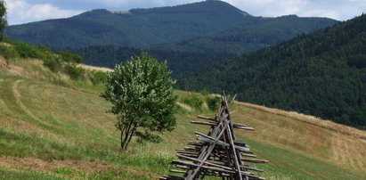 Tragedia w górach. Turysta zmarł na szlaku