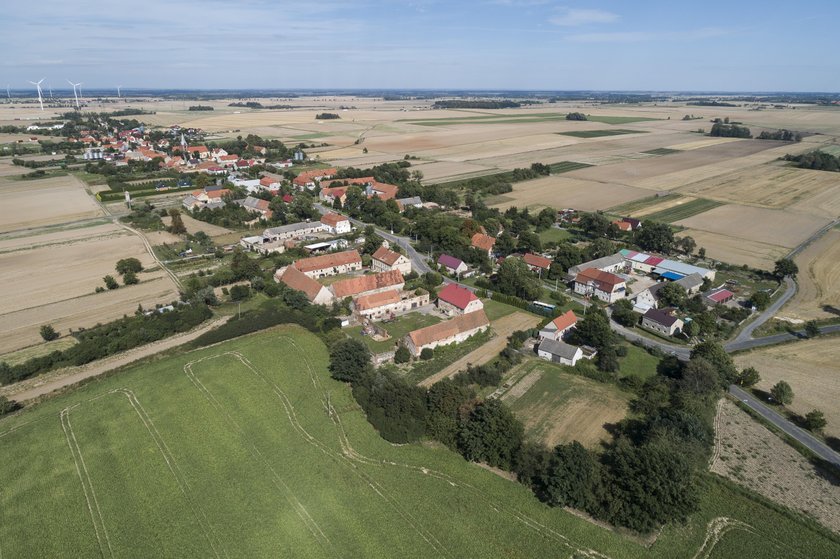 Gorączka złota pod Legnicą