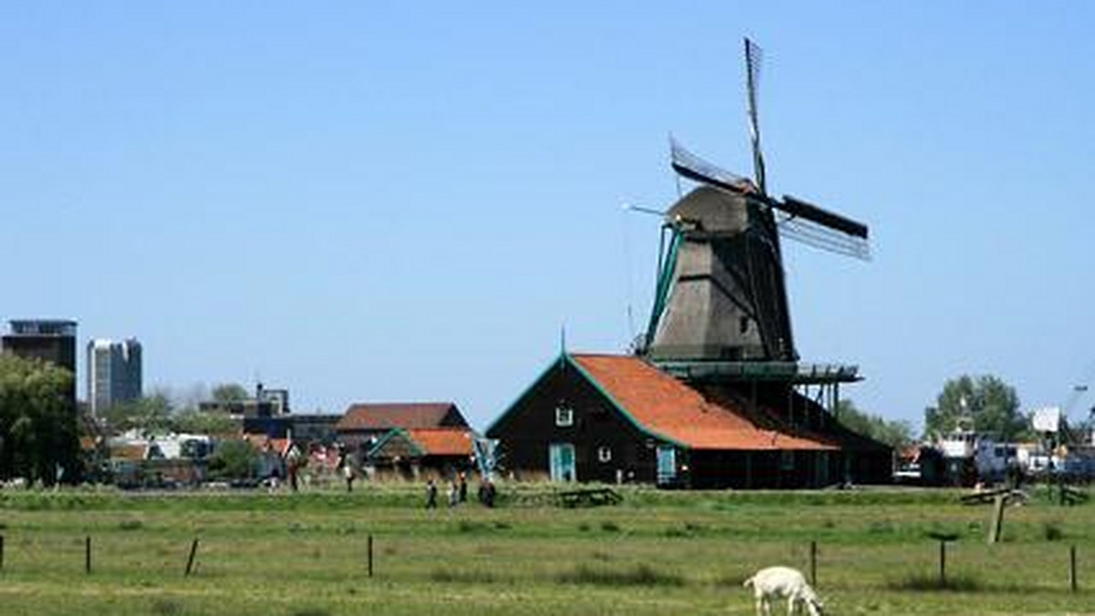 Galeria Holandia - Zaanse Schans, obrazek 1