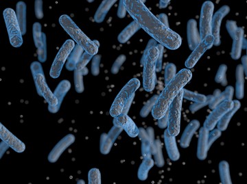 gyomorrák  gyors, agresszív Helicobacter pylori baktérium vizsgálat