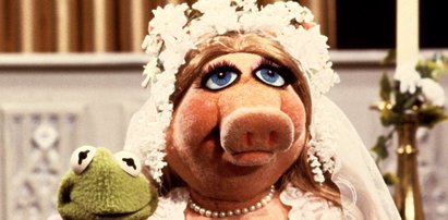 Miss Piggy bierze ślub. Wychodzi za...