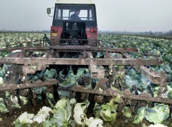 Rolnicy kupują i budują, a będą jeszcze więcej, bo dostaną miliony
