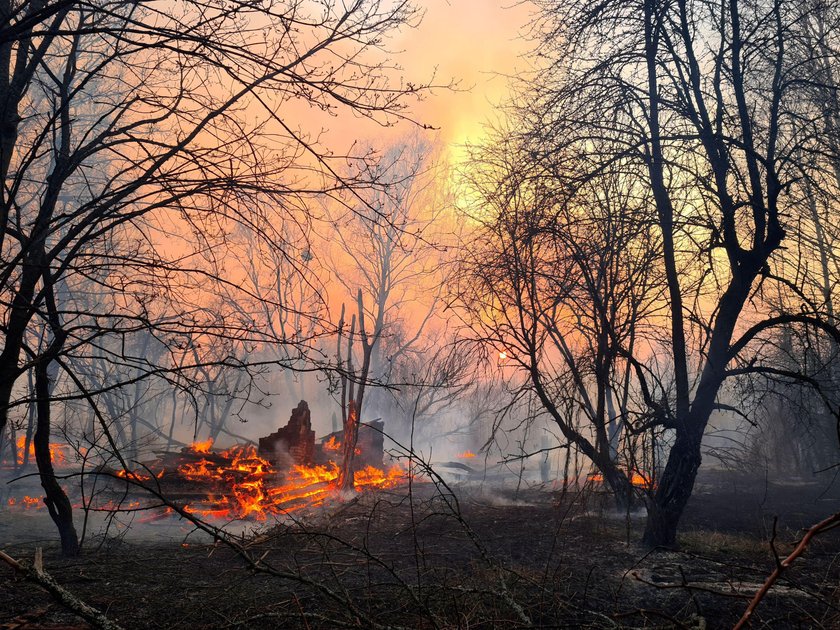 Czarnobyl: pożar lasu w zamkniętej strefie. Nagły wzrost promieniowania