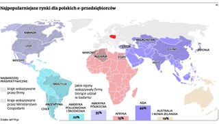 Dla polskich e-firm nasz rynek jest za mały. Podbijają egzotyczne kraje