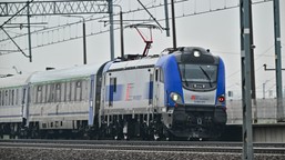 intercity "żubr" zderzył się z żubrami. są opóźnienia na kolei
