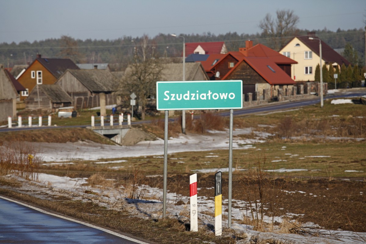Najgroźniejsza choroba świń. Czy zagraża człowiekowi?