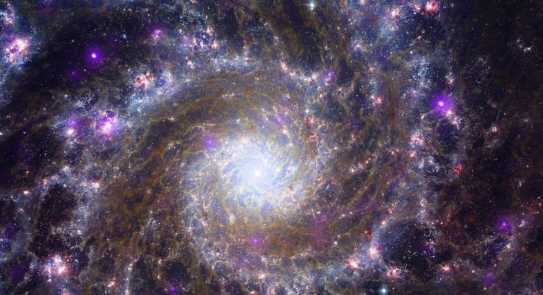 Messier 74, nicknamed the Phantom Galaxy for its dimness, comes to life when Chandra revealed its X-ray activity (purple) alongside observations from Hubble and Webb.X-ray: NASA/CXC/SAO; Optical: NASA/ESA/STScI; IR NASA/ESA/CSA/STScI, J. Lee and the PHANGS-JWST Team; Image Processing: N. Wolk and K. Arcand