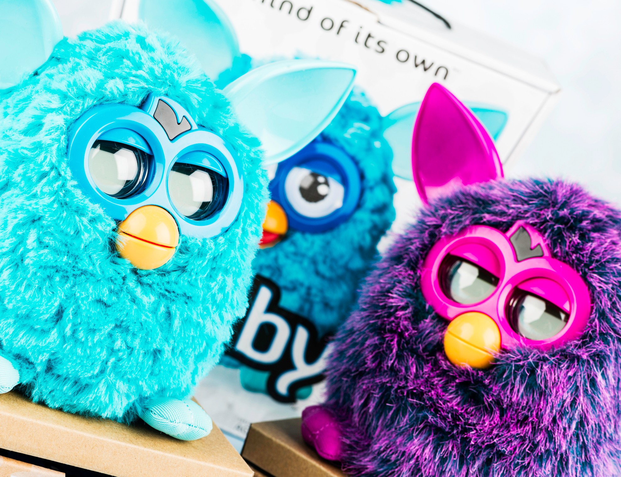 Furby