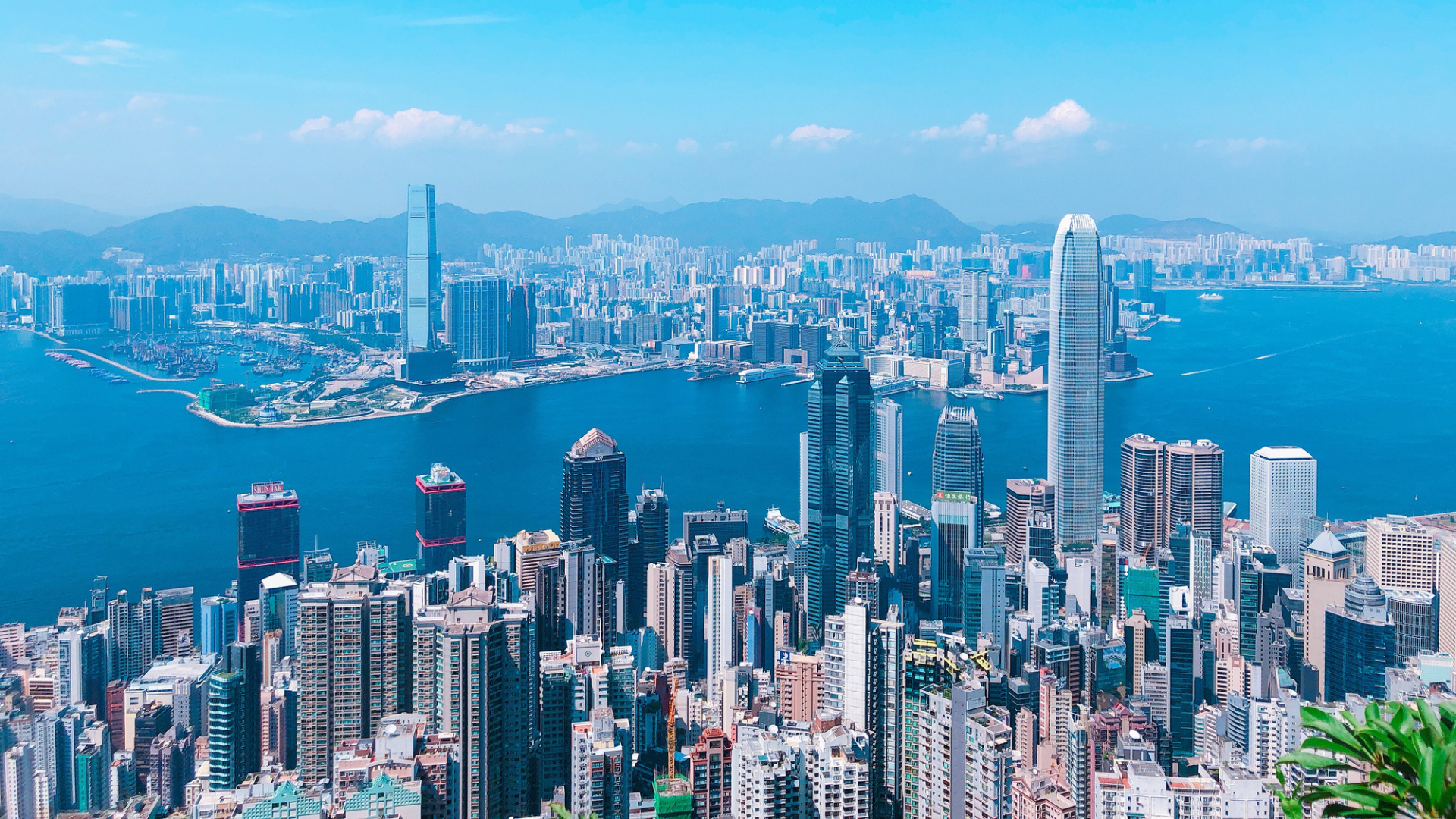 Hongkong chce rozdať až 500-tisíc leteniek.