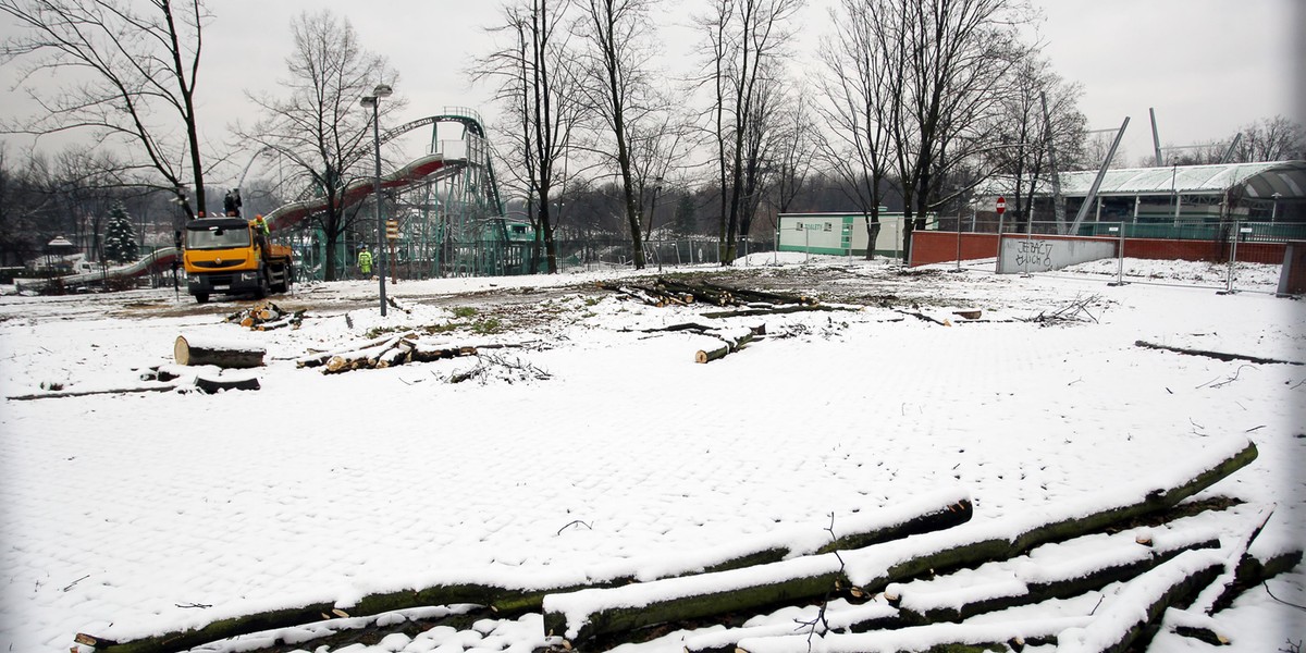 Katowice. Protest mieszkańców Dębu przeciwko wycince drzew 