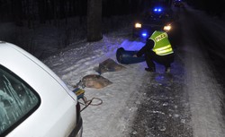 Drastyczny finał kuligu za samochodem. Beczka zamiast sanek. Zobacz ZDJĘCIA policji