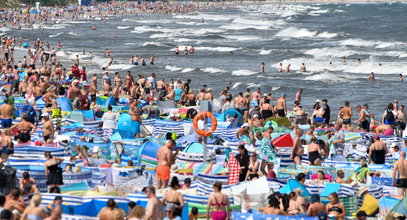 Wcześniej przeczesywali plażę we Władysławowie, a teraz... Zdjęcia pokazują wiele