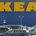 Lekcje z kryzysu. Prezes IKEA Polska o tym, czego nauczyła ją pandemia