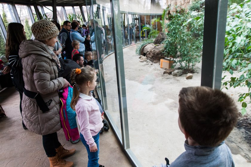 Zoo zatrudni nowych pracowników