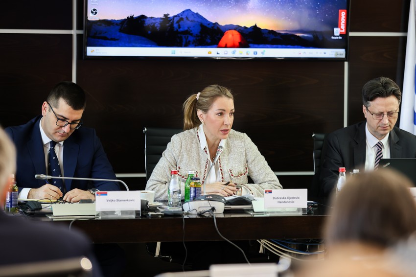 Dubravka Đedović Handanović