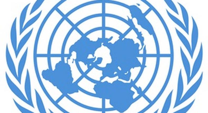 United Nations Support Mission in Libya (UNSMIL)