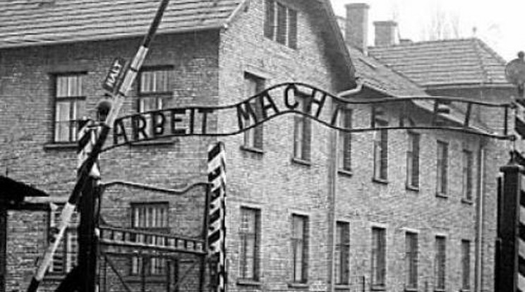 Angéla: Auschwitzban születtem, és nem bocsátok meg