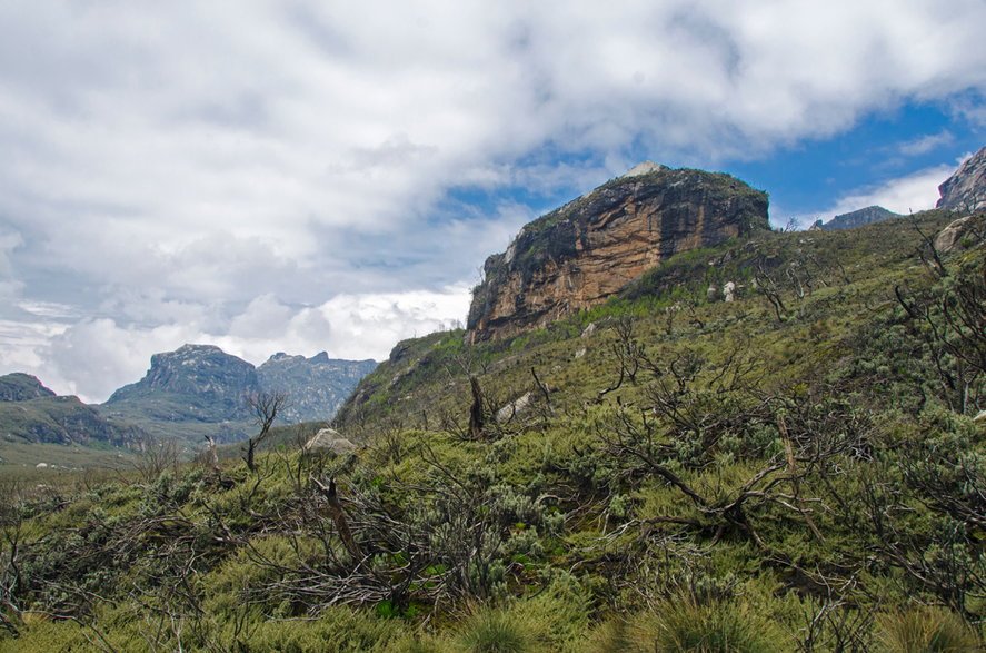 Góry Rwenzori, Uganda