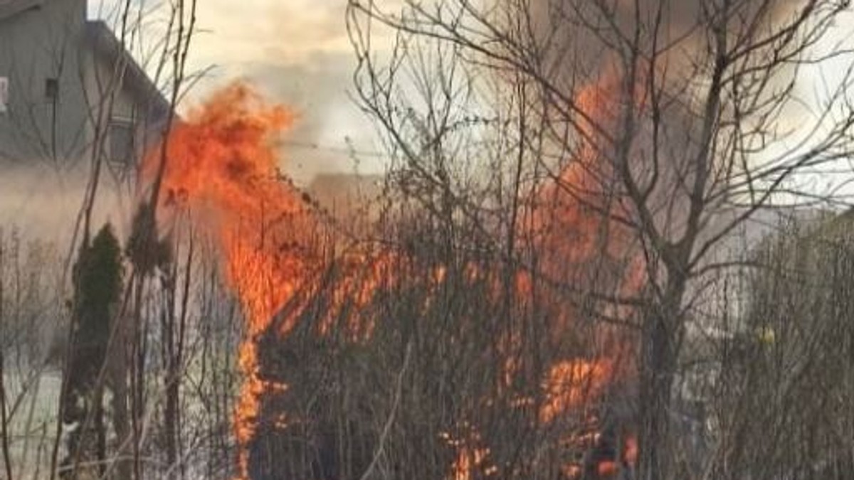 VELIKI POŽAR U NOVOM SADU Proširila se vatra sa niskog rastinja na šupu sa ogrevom (FOTO)