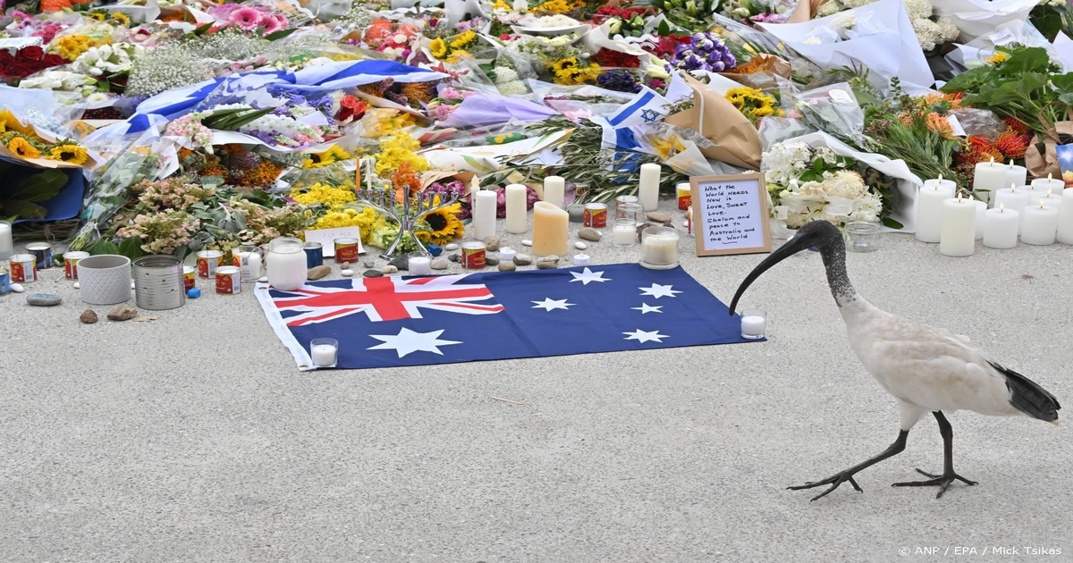 15-doden-bij-aanval-op-Chanoeka-viering-Sydney-een-vader-en-zoon-opgepakt-IS-vlag