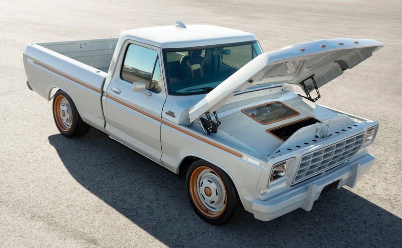 Ford F-100 Eluminator