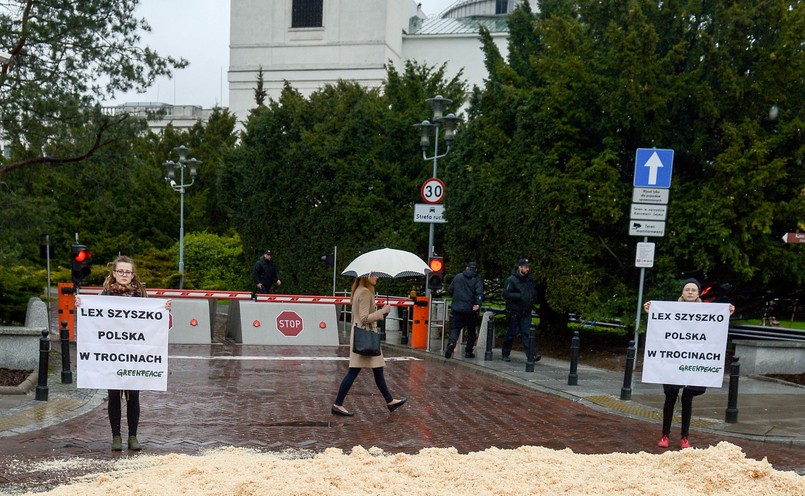 "Chcieliśmy przypomnieć senatorom i posłom, że las, drzewa rosną bardzo długo i bardzo szybko można je zamienić w trociny" - podkreślił podczas briefingu towarzyszącego akcji dyrektor Greenpeace Polska Robert Cyglicki. Kopiec trocin został rozsypany na ulicy Wiejskiej przed wjazdem do gmachu Sejmu. Ekolodzy mieli też ze sobą transparenty z napisami "Lex Szyszko. Polska w trocinach".