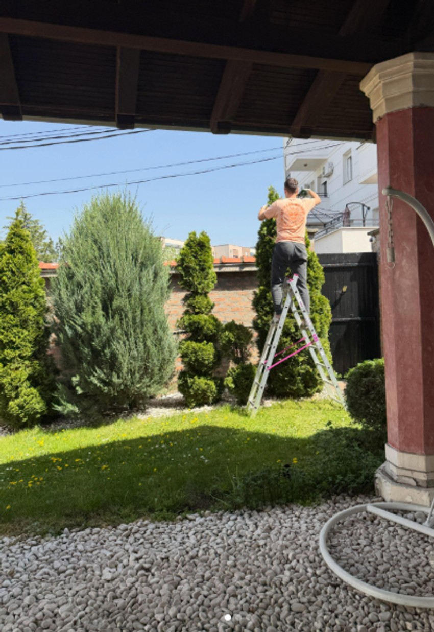 Zoran Pejić Peja sređuje dvorište