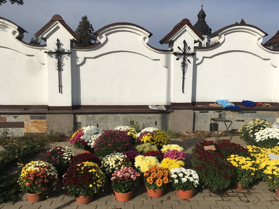 Kwiaty doniczkowe przed Cmentarzem św. Rocha w Białymstoku